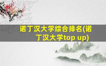 诺丁汉大学综合排名(诺丁汉大学top up)